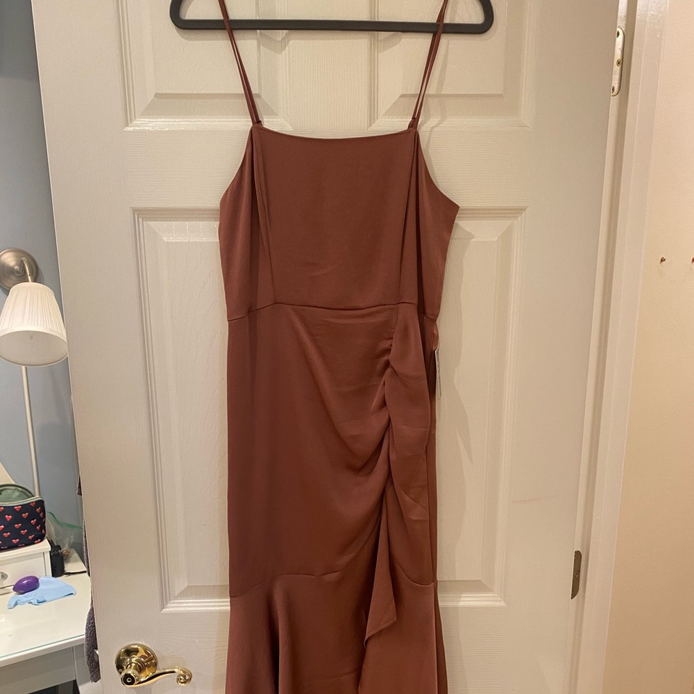 Express rouched silky dress